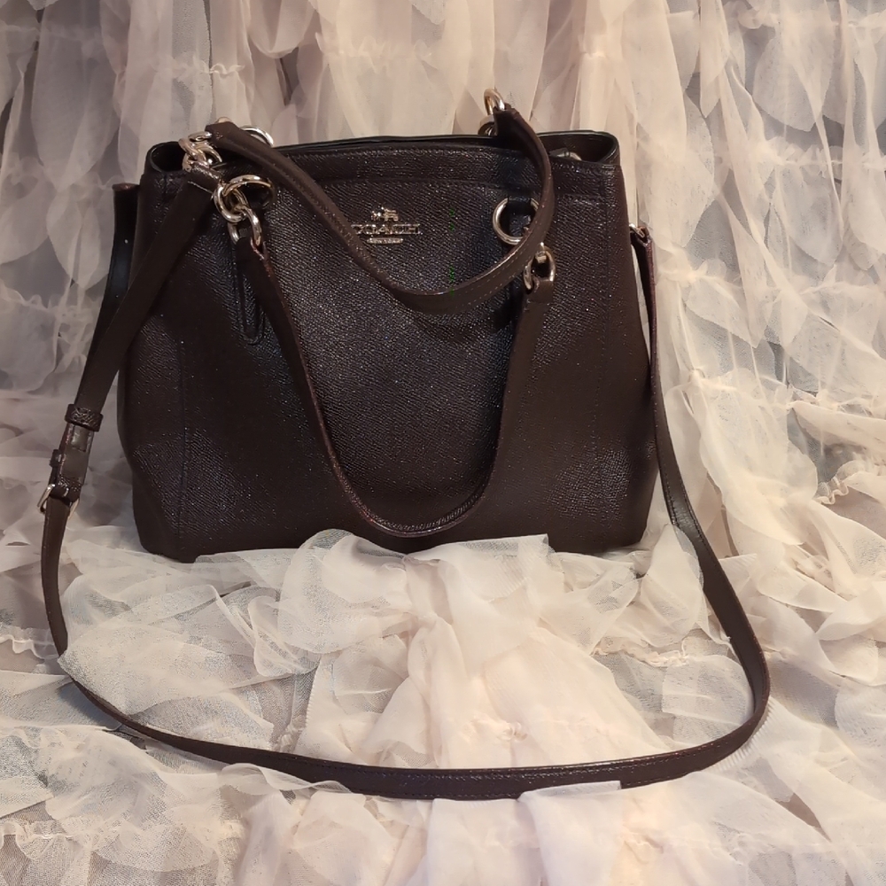Coach Elegant Shiny/Sparkled Brown Leather Handbag